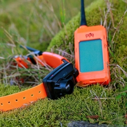 Obroża dla innego psa DOG GPS X25B- pomarańczowy