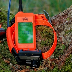 GPS dla psów DOG GPS X30TB Mapy, Teletakt + Lokalizacja