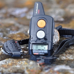 Dog Trace D- control  professional Orange 2000 - elektroniczna obroża treningowa