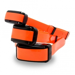 Dog Trace D- control  professional Orange 2000 - elektroniczna obroża treningowa