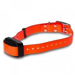 Dog Trace D- control  professional Orange 2002 - elektroniczna obroża treningowa