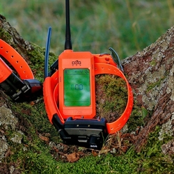 Obroża dla innego psa DOG GPS X25TB - pomarańczowa