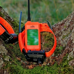 Obroża dla innego psa DOG GPS X25TB - Zielony